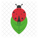 Animal Nature Bug Icon