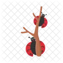 Animal Nature Bug Icon