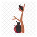 Animal Nature Bug Icon