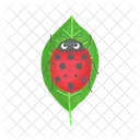 Ladybug Beetle Bug Icon