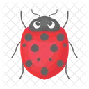 Ladybug Beetle Bug Icon