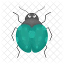 Ladybug Beetle Bug Icon