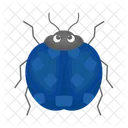 Ladybug Beetle Bug Icon