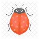 Ladybug Beetle Bug Icon