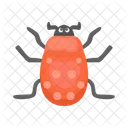 Ladybug Beetle Bug Icon