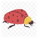 Ladybug Nature Bug Icon