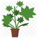 Lady’s Mantle Plant  Icon