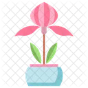 Ladys Slipper Orchid Plant  Icon