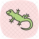 Lagartixa De Crista Lagartixa De Crista Reptil Ícone