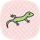 Lagartixa Diurna Lagartixa Diurna Reptil Ícone