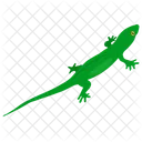 Lagarto  Icono