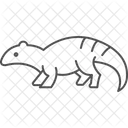 Lagarto armadillo  Icono