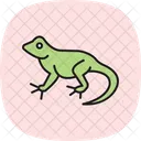 Lagarto De Babados Lagarto De Babados Reptil Ícone