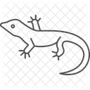 Lagarto De Cerca Lagarto De Cerca Reptil Ícone