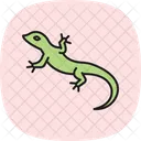 Lagarto De Cerca Ocidental Lagarto De Cerca Ocidental Reptil Ícone