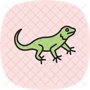 Lagarto De Colarinho Lagarto De Colarinho Reptil Ícone