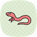 Lagarto De Vidro Lagarto De Vidro Reptil Ícone