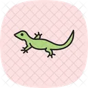Lagarto Espinhoso Lagarto Espiniforme Reptil Ícone