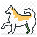 Laika Dog Breed Icon