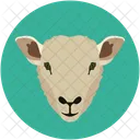 Lamb Sheep Mammal Icon