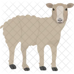 Lamb  Icon