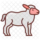 Lamb Sheep Mutton Icon
