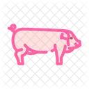 Landrace Pig Breed Icon