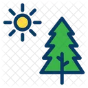 Sun Pine Tree Icon