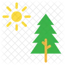 Sun Pine Tree Icon