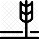 Landwirtschaft Getreide Weizen Symbol