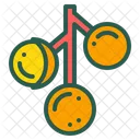 Longan Obst Essen Symbol