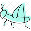 Langosta Insecto Enjambre Icono