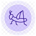 Langosta Insecto Enjambre Icono