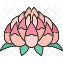 Lantern Lotus Festival Icon