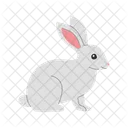 Lapin  Icône