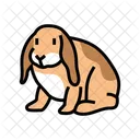 Lapin Animal De Compagnie Maison Icône