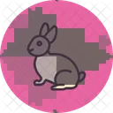 Lapin  Icône