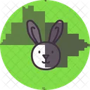 Lapin  Icône