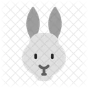 Lapin  Icône