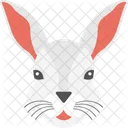 Blanc Lapin Visage Icon