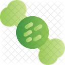 Laptop Computer Gadget Icon