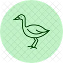 Lapwing Bird Plover Icon