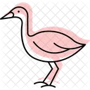 Lapwing Bird Plover Icon