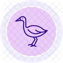 Lapwing Bird Plover Icon