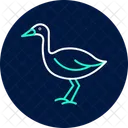 Lapwing Bird Plover Icon