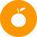 Laranja Acao De Gracas Fruta Icon