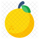 Laranja Fruta Comestivel Icon