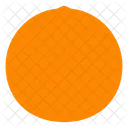 Fruta laranja  Icon