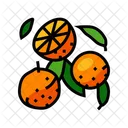 Laranja madura  Icon