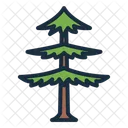 Larch Tree Botanical Icon